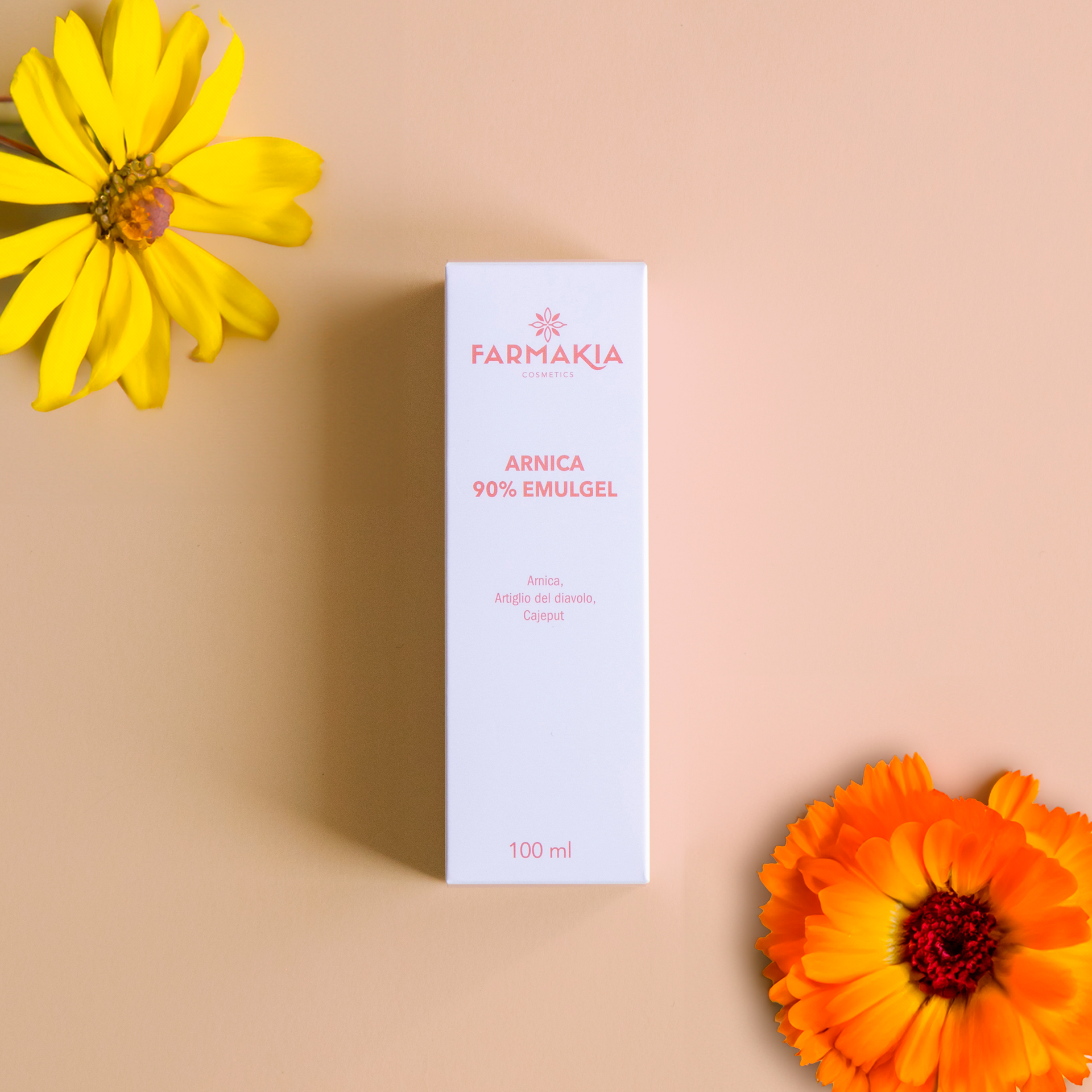 491793281_1211975300932619_6917340051820990748_n